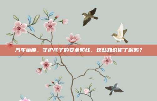 汽车童锁，守护孩子的安全防线，这些知识你了解吗？