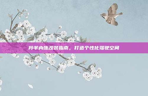 羚羊内饰改装指南，打造个性化驾驶空间