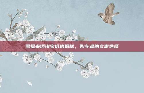 雪福来迈锐宝价格揭秘，购车者的实惠选择