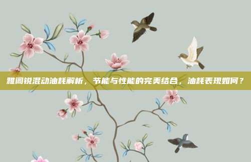 雅阁锐混动油耗解析，节能与性能的完美结合，油耗表现如何？