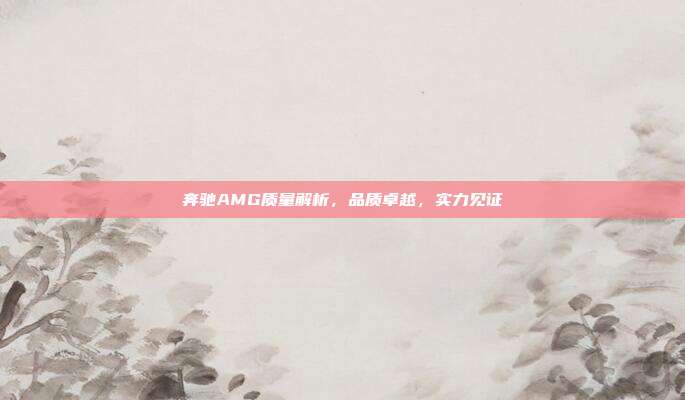 奔驰AMG质量解析，品质卓越，实力见证