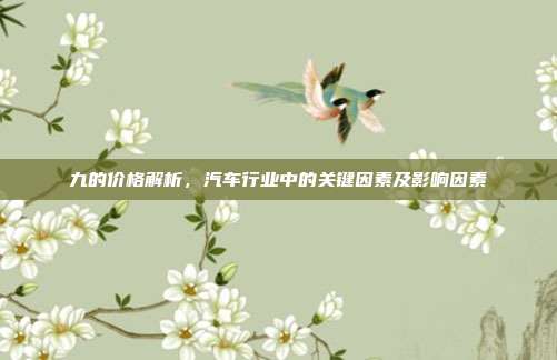 九的价格解析，汽车行业中的关键因素及影响因素