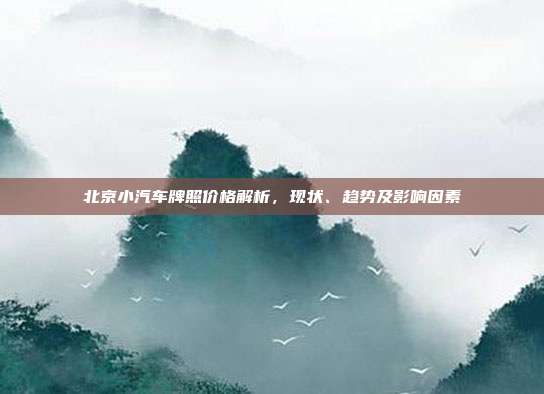 北京小汽车牌照价格解析，现状、趋势及影响因素