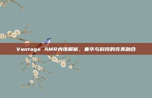 Vantage AMR内饰解析，奢华与科技的完美融合