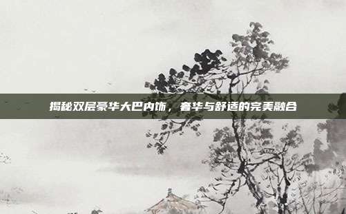 揭秘双层豪华大巴内饰，奢华与舒适的完美融合
