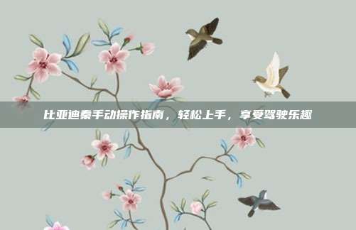 比亚迪秦手动操作指南，轻松上手，享受驾驶乐趣