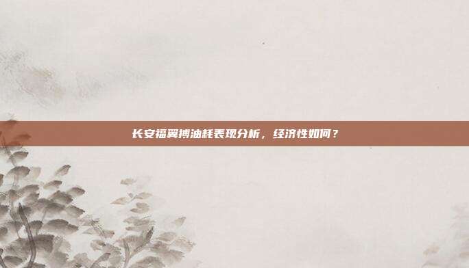 长安福翼搏油耗表现分析，经济性如何？