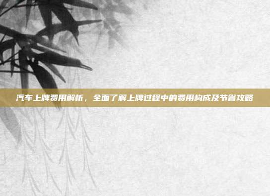 汽车上牌费用解析，全面了解上牌过程中的费用构成及节省攻略