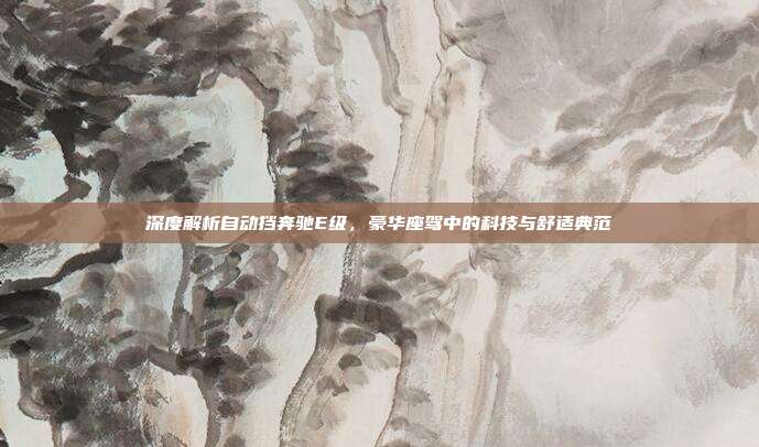深度解析自动挡奔驰E级，豪华座驾中的科技与舒适典范