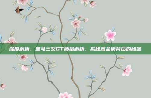 深度解析，宝马三系GT质量解析，揭秘高品质背后的秘密