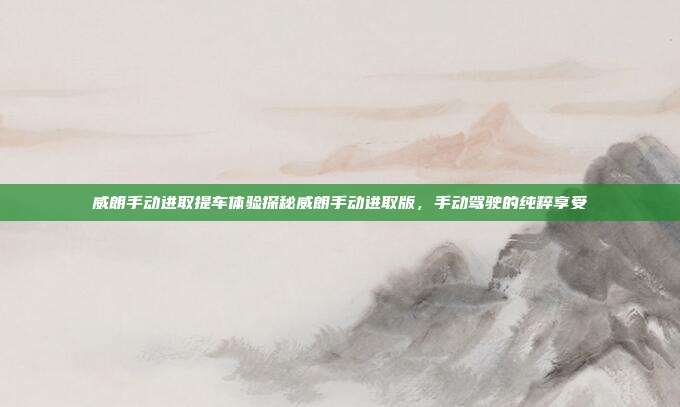 威朗手动进取提车体验探秘威朗手动进取版，手动驾驶的纯粹享受