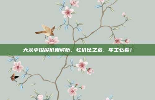 大众中控屏价格解析，性价比之选，车主必看！