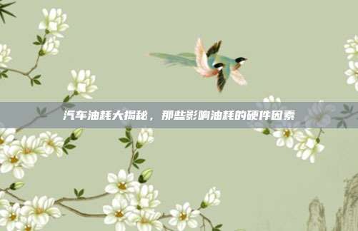 汽车油耗大揭秘，那些影响油耗的硬件因素
