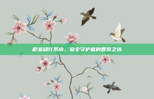 尼桑稳行系统，安全守护者的智慧之选