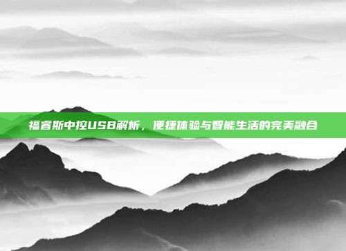 福睿斯中控USB解析，便捷体验与智能生活的完美融合