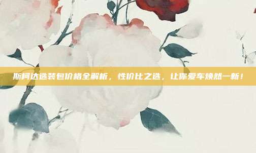 斯柯达选装包价格全解析，性价比之选，让你爱车焕然一新！