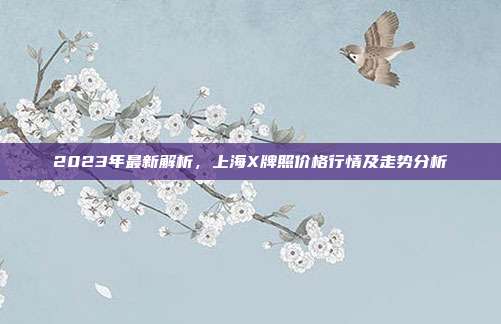 2023年最新解析，上海X牌照价格行情及走势分析