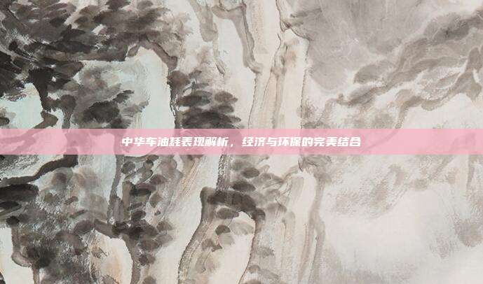 中华车油耗表现解析，经济与环保的完美结合