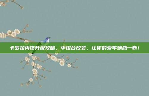卡罗拉内饰升级攻略，中控台改装，让你的爱车焕然一新！