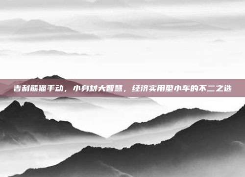 吉利熊猫手动，小身材大智慧，经济实用型小车的不二之选