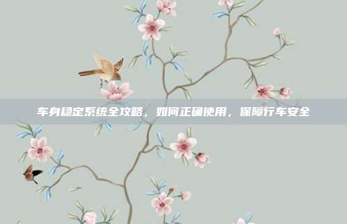 车身稳定系统全攻略，如何正确使用，保障行车安全