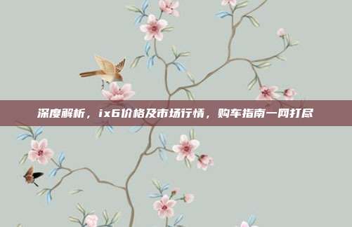 深度解析，ix6价格及市场行情，购车指南一网打尽