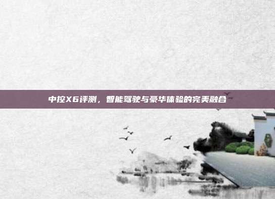 中控X6评测，智能驾驶与豪华体验的完美融合