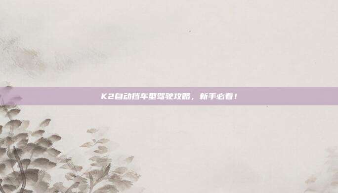K2自动挡车型驾驶攻略，新手必看！