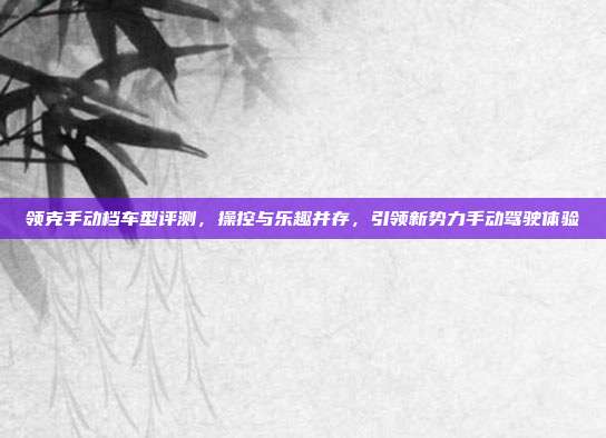 领克手动档车型评测，操控与乐趣并存，引领新势力手动驾驶体验
