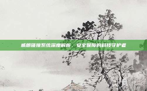 威朗碰撞系统深度解析，安全保障的科技守护者
