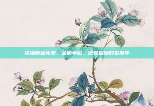 哥瑞质量评测，品质卓越，值得信赖的家用车