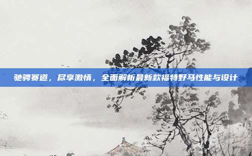 驰骋赛道，尽享激情，全面解析最新款福特野马性能与设计