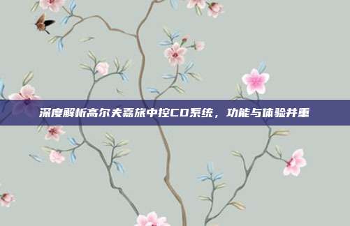深度解析高尔夫嘉旅中控CD系统，功能与体验并重