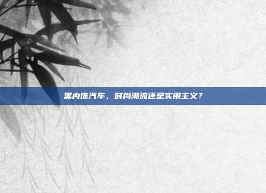 黑内饰汽车，时尚潮流还是实用主义？