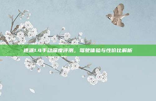 速派1.4手动深度评测，驾驶体验与性价比解析