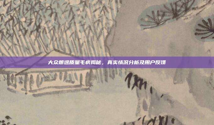 大众朗逸质量毛病揭秘，真实情况分析及用户反馈