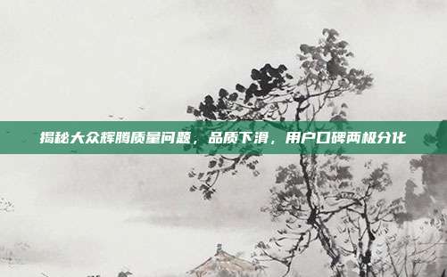 揭秘大众辉腾质量问题，品质下滑，用户口碑两极分化