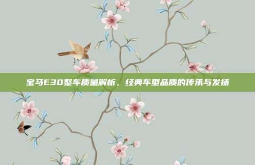 宝马E30整车质量解析，经典车型品质的传承与发扬