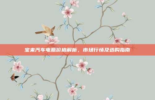 宝来汽车电瓶价格解析，市场行情及选购指南