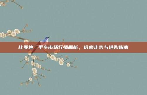 比亚迪二手车市场行情解析，价格走势与选购指南