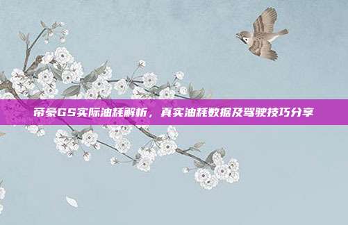 帝豪GS实际油耗解析，真实油耗数据及驾驶技巧分享