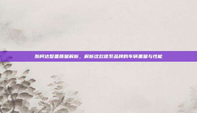 斯柯达整备质量解析，解析这款德系品牌的车辆重量与性能