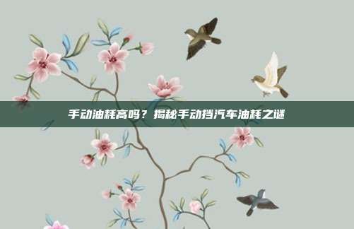 手动油耗高吗？揭秘手动挡汽车油耗之谜