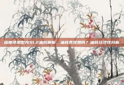深度评测宏光S1.2油耗解析，油耗表现如何？油耗经济性分析