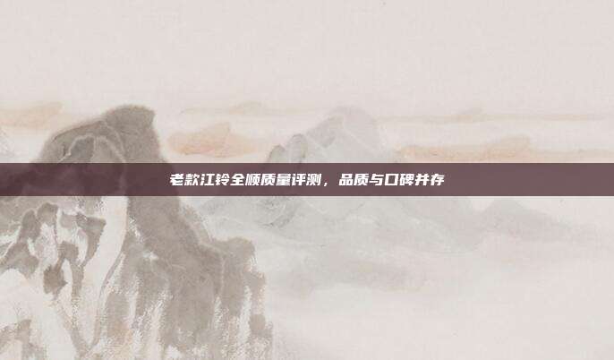 老款江铃全顺质量评测，品质与口碑并存