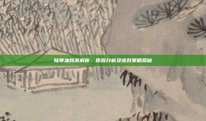 陆尊油耗高解析，原因分析及应对策略揭秘