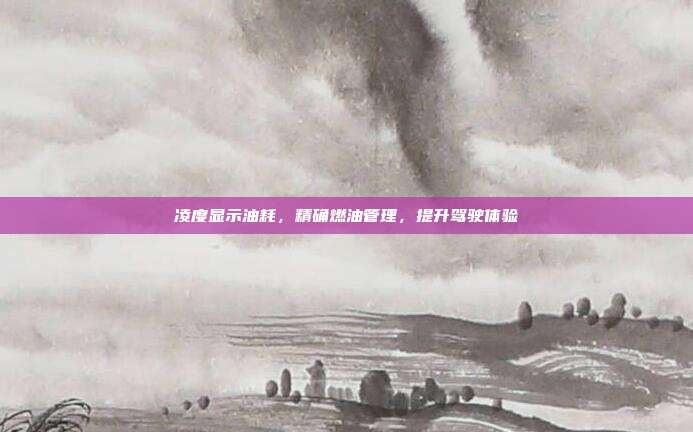 凌度显示油耗，精确燃油管理，提升驾驶体验