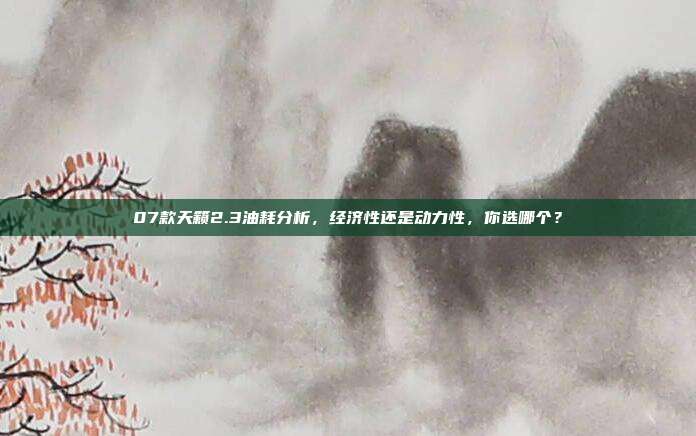 07款天籁2.3油耗分析，经济性还是动力性，你选哪个？