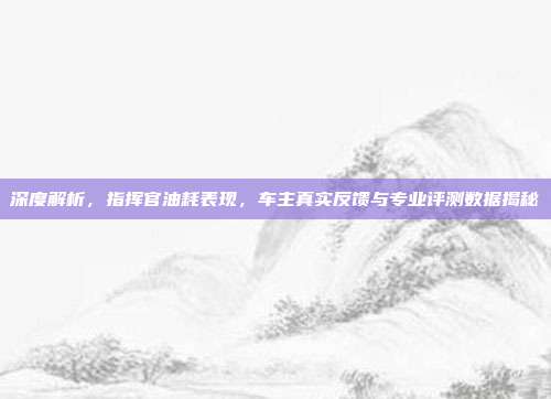 深度解析，指挥官油耗表现，车主真实反馈与专业评测数据揭秘