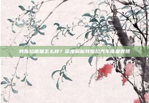特斯拉质量怎么样？深度解析特斯拉汽车质量表现